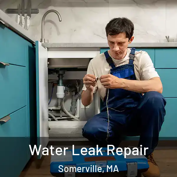  Water Leak Repair Somerville, MA